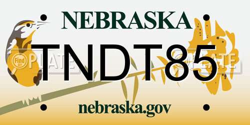 TNDT85 Nebraska License Plate