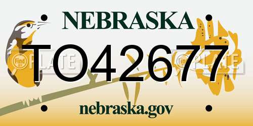 TO42677 Nebraska License Plate