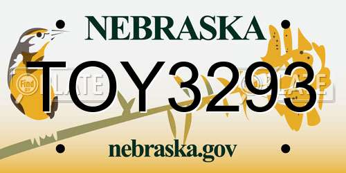 TOY3293 Nebraska License Plate