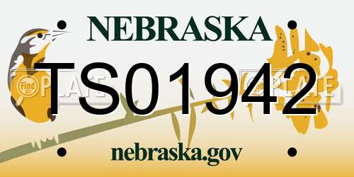 TS01942 Nebraska License Plate
