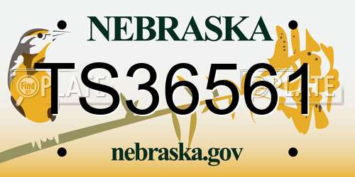 TS36561 Nebraska License Plate