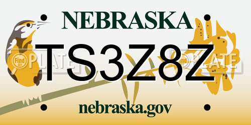 TS3Z8Z Nebraska License Plate