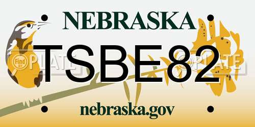 TSBE82 Nebraska License Plate