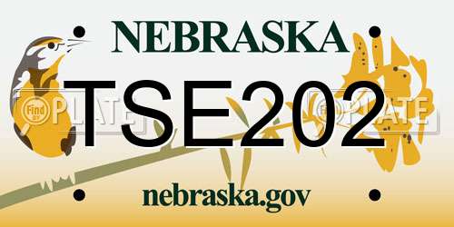 TSE202 Nebraska License Plate