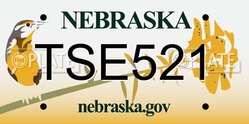 TSE521 Nebraska License Plate