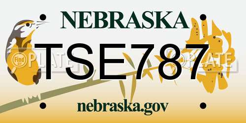TSE787 Nebraska License Plate