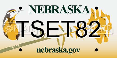 TSET82 Nebraska License Plate