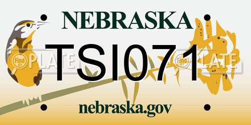 TSI071 Nebraska License Plate