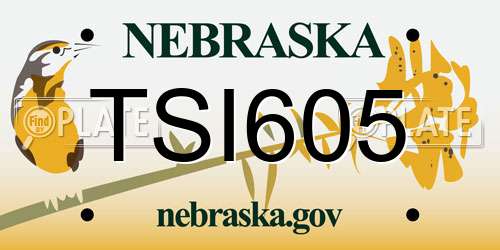 TSI605 Nebraska License Plate