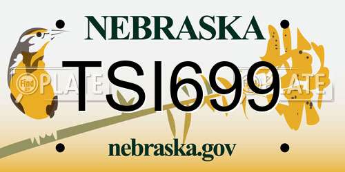 TSI699 Nebraska License Plate