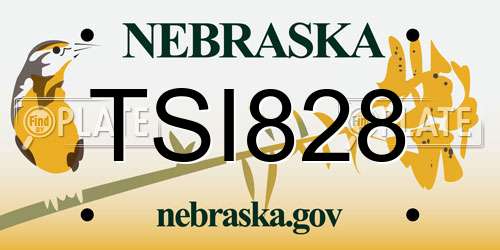 TSI828 Nebraska License Plate