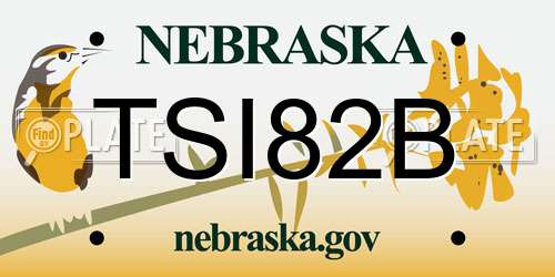 TSI82B Nebraska License Plate