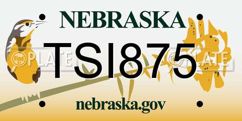 TSI875 Nebraska License Plate
