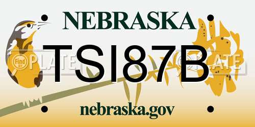 TSI87B Nebraska License Plate