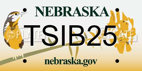 TSIB25 Nebraska License Plate