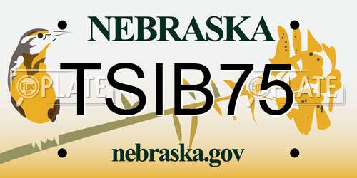 TSIB75 Nebraska License Plate