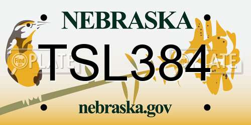 TSL384 Nebraska License Plate