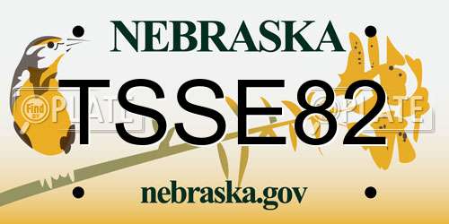 TSSE82 Nebraska License Plate