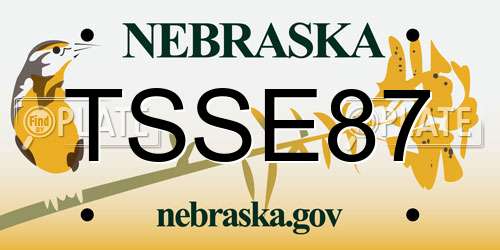 TSSE87 Nebraska License Plate