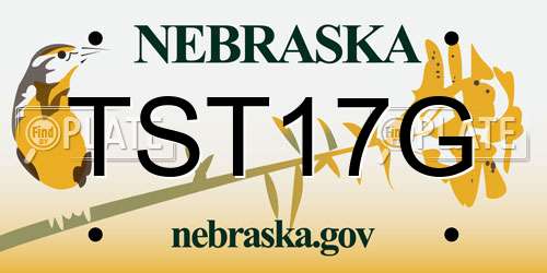 TST17G Nebraska License Plate