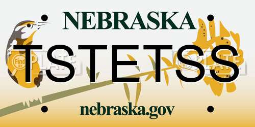 TSTETSS Nebraska License Plate
