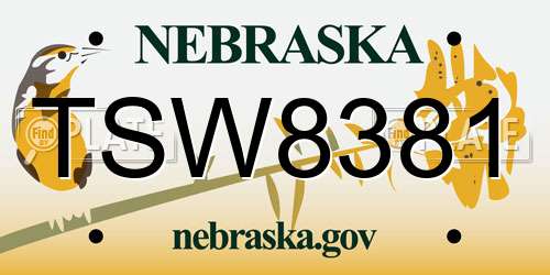TSW8381 Nebraska License Plate