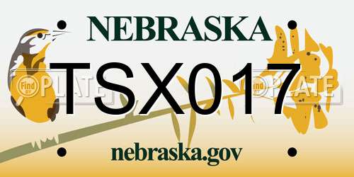 TSX017 Nebraska License Plate