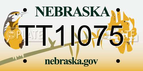 TT1I075 Nebraska License Plate