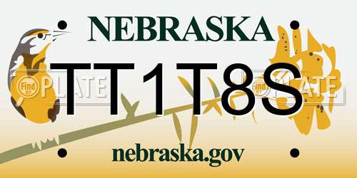 TT1T8S Nebraska License Plate