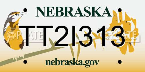 TT2I313 Nebraska License Plate