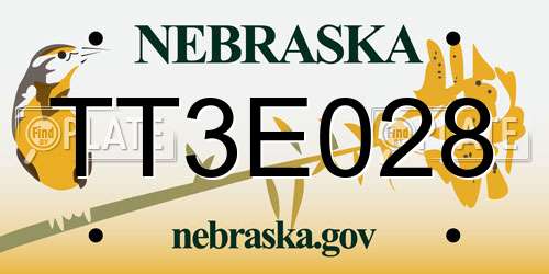 TT3E028 Nebraska License Plate