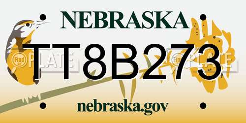 TT8B273 Nebraska License Plate