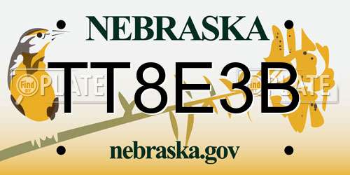 TT8E3B Nebraska License Plate