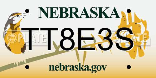 TT8E3S Nebraska License Plate