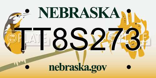 TT8S273 Nebraska License Plate