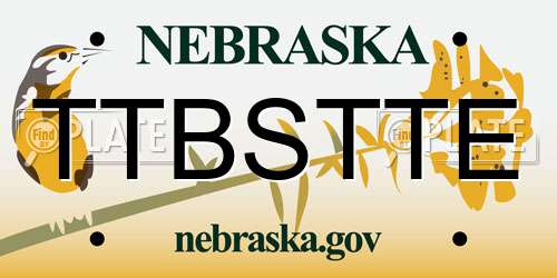 TTBSTTE Nebraska License Plate