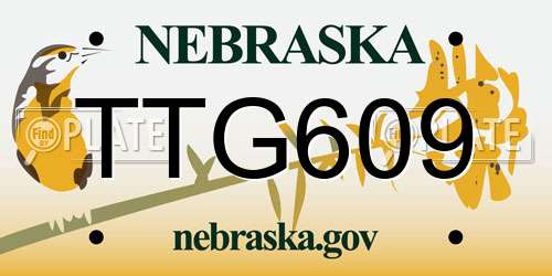 TTG609 Nebraska License Plate
