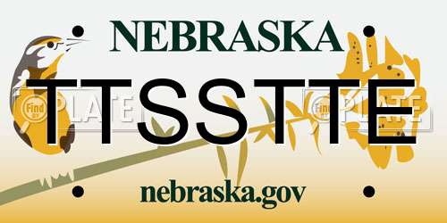 TTSSTTE Nebraska License Plate
