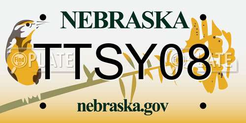 TTSY08 Nebraska License Plate