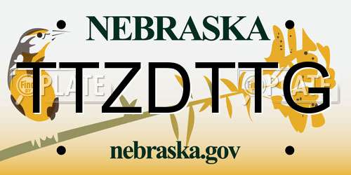 TTZDTTG Nebraska License Plate