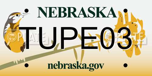 TUPE03 Nebraska License Plate