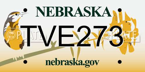 TVE273 Nebraska License Plate