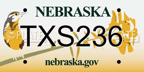 TXS236 Nebraska License Plate