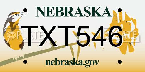 TXT546 Nebraska License Plate