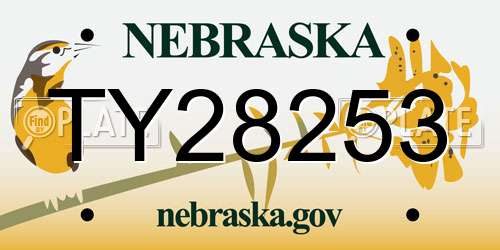TY28253 Nebraska License Plate