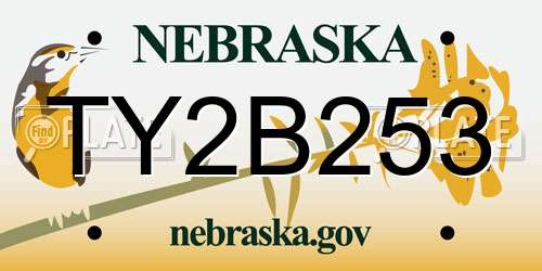 TY2B253 Nebraska License Plate