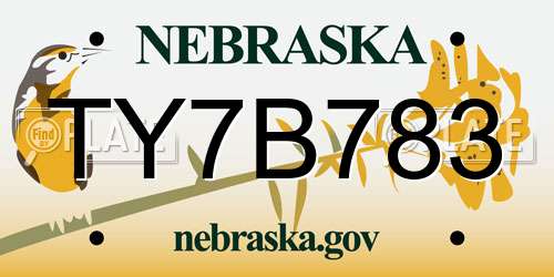 TY7B783 Nebraska License Plate