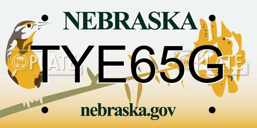 TYE65G Nebraska License Plate