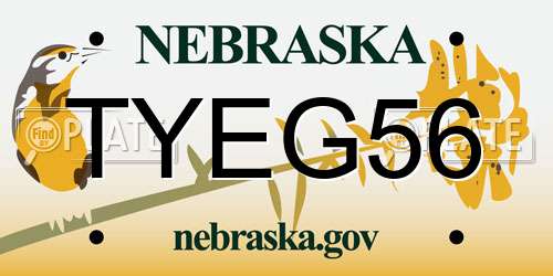 TYEG56 Nebraska License Plate