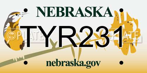 TYR231 Nebraska License Plate